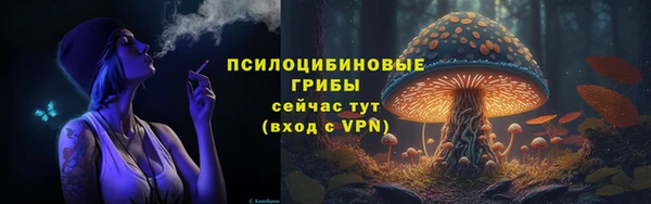 героин Абаза
