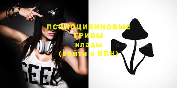 apvp Покров