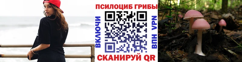 МЕГА ТОР Осташков Псилоцибиновые грибы GOLDEN TEACHER
